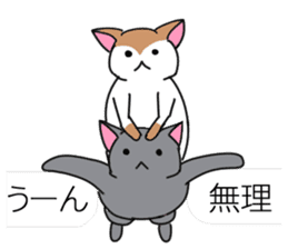relaxing cats and Balloon sticker #10743782