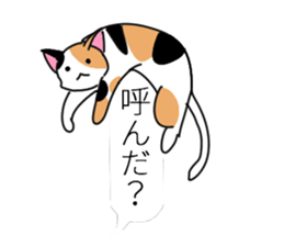 relaxing cats and Balloon sticker #10743790