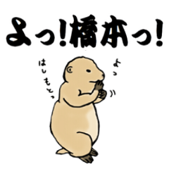 The sticker sent to the Hashimoto