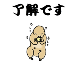 The sticker sent to the Hashimoto sticker #10744161