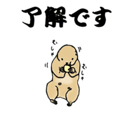 The sticker sent to the Hashimoto sticker #10744161