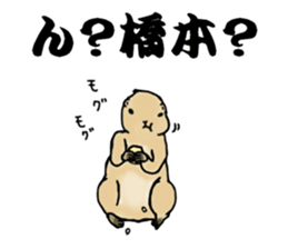 The sticker sent to the Hashimoto sticker #10744162