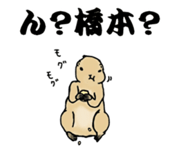 The sticker sent to the Hashimoto sticker #10744162