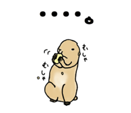 The sticker sent to the Hashimoto sticker #10744163