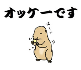 The sticker sent to the Hashimoto sticker #10744164