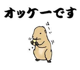 The sticker sent to the Hashimoto sticker #10744164