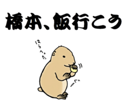 The sticker sent to the Hashimoto sticker #10744165