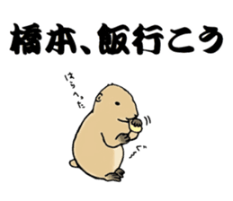 The sticker sent to the Hashimoto sticker #10744165