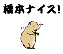 The sticker sent to the Hashimoto sticker #10744166