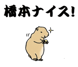 The sticker sent to the Hashimoto sticker #10744166