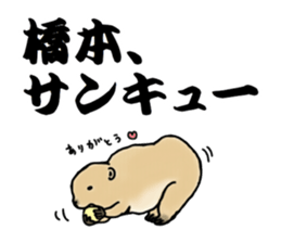 The sticker sent to the Hashimoto sticker #10744167