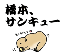 The sticker sent to the Hashimoto sticker #10744167