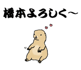 The sticker sent to the Hashimoto sticker #10744168