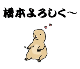 The sticker sent to the Hashimoto sticker #10744168