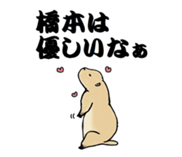 The sticker sent to the Hashimoto sticker #10744169