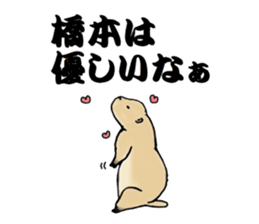 The sticker sent to the Hashimoto sticker #10744169