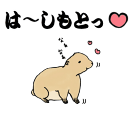 The sticker sent to the Hashimoto sticker #10744170