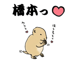 The sticker sent to the Hashimoto sticker #10744171