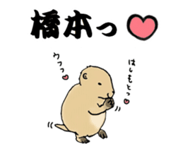 The sticker sent to the Hashimoto sticker #10744171