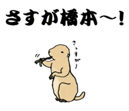 The sticker sent to the Hashimoto sticker #10744173