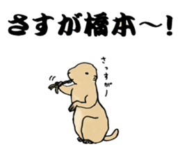 The sticker sent to the Hashimoto sticker #10744173