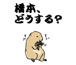 The sticker sent to the Hashimoto sticker #10744175