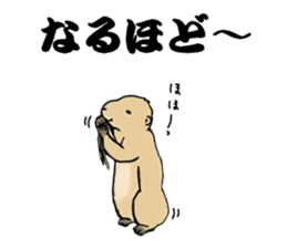 The sticker sent to the Hashimoto sticker #10744176