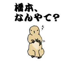 The sticker sent to the Hashimoto sticker #10744177