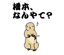 The sticker sent to the Hashimoto sticker #10744177