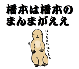 The sticker sent to the Hashimoto sticker #10744178