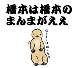 The sticker sent to the Hashimoto sticker #10744178