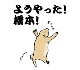 The sticker sent to the Hashimoto sticker #10744179