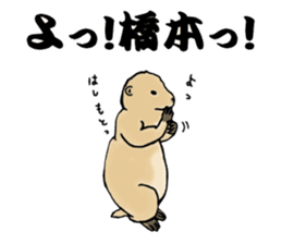 The sticker sent to the Hashimoto sticker #10744180