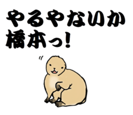 The sticker sent to the Hashimoto sticker #10744181