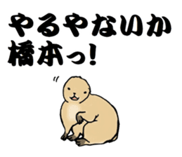 The sticker sent to the Hashimoto sticker #10744181