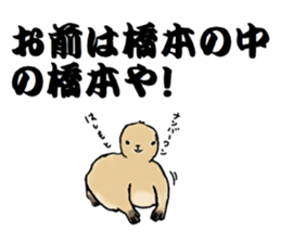 The sticker sent to the Hashimoto sticker #10744182