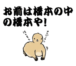 The sticker sent to the Hashimoto sticker #10744182