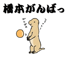 The sticker sent to the Hashimoto sticker #10744185