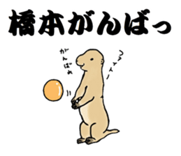 The sticker sent to the Hashimoto sticker #10744185