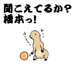 The sticker sent to the Hashimoto sticker #10744186