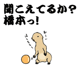 The sticker sent to the Hashimoto sticker #10744186