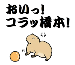 The sticker sent to the Hashimoto sticker #10744187