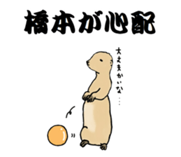 The sticker sent to the Hashimoto sticker #10744188