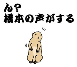 The sticker sent to the Hashimoto sticker #10744189