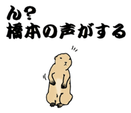 The sticker sent to the Hashimoto sticker #10744189