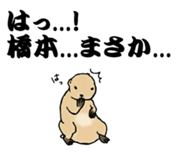 The sticker sent to the Hashimoto sticker #10744191