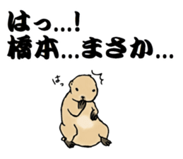 The sticker sent to the Hashimoto sticker #10744191