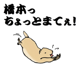 The sticker sent to the Hashimoto sticker #10744193