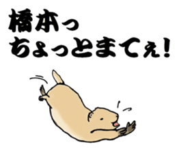 The sticker sent to the Hashimoto sticker #10744193