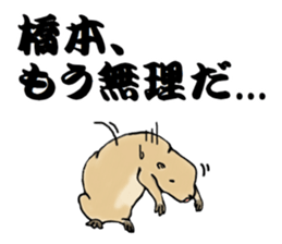 The sticker sent to the Hashimoto sticker #10744194